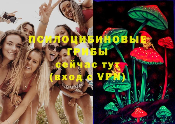 прущие крисы Абинск