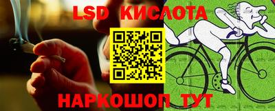 прущие грибы Ярцево