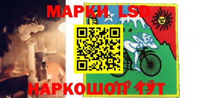 прущие грибы Ярцево