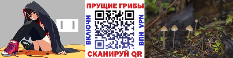 Псилоцибиновые грибы MAGIC MUSHROOMS  Тюмень 