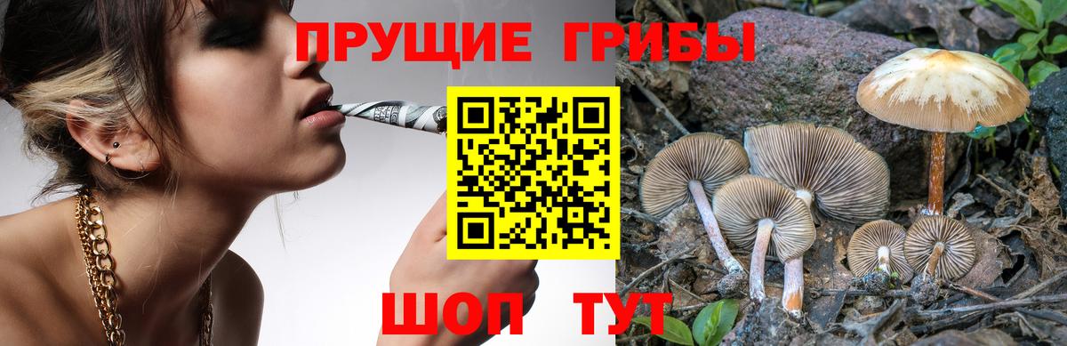 Тюмень  Псилоцибиновые грибы мухоморы  Вход с VPN  Галлюциногенные грибы GOLDEN TEACHER 